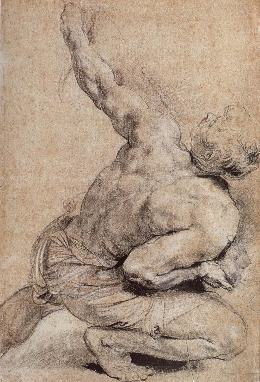 Peter Paul Rubens Pencil sketch of man-s back